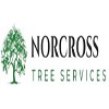 Norcross Tree Services